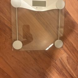 Scale 