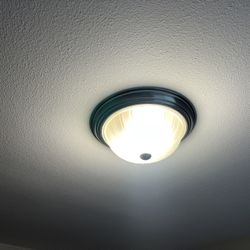 Light Fixture