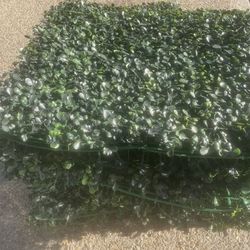 17 Pieces Of Faux Boxwood. Look At All Pic. For Dimensions 