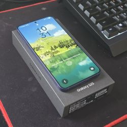 Samsung Galaxy S25 