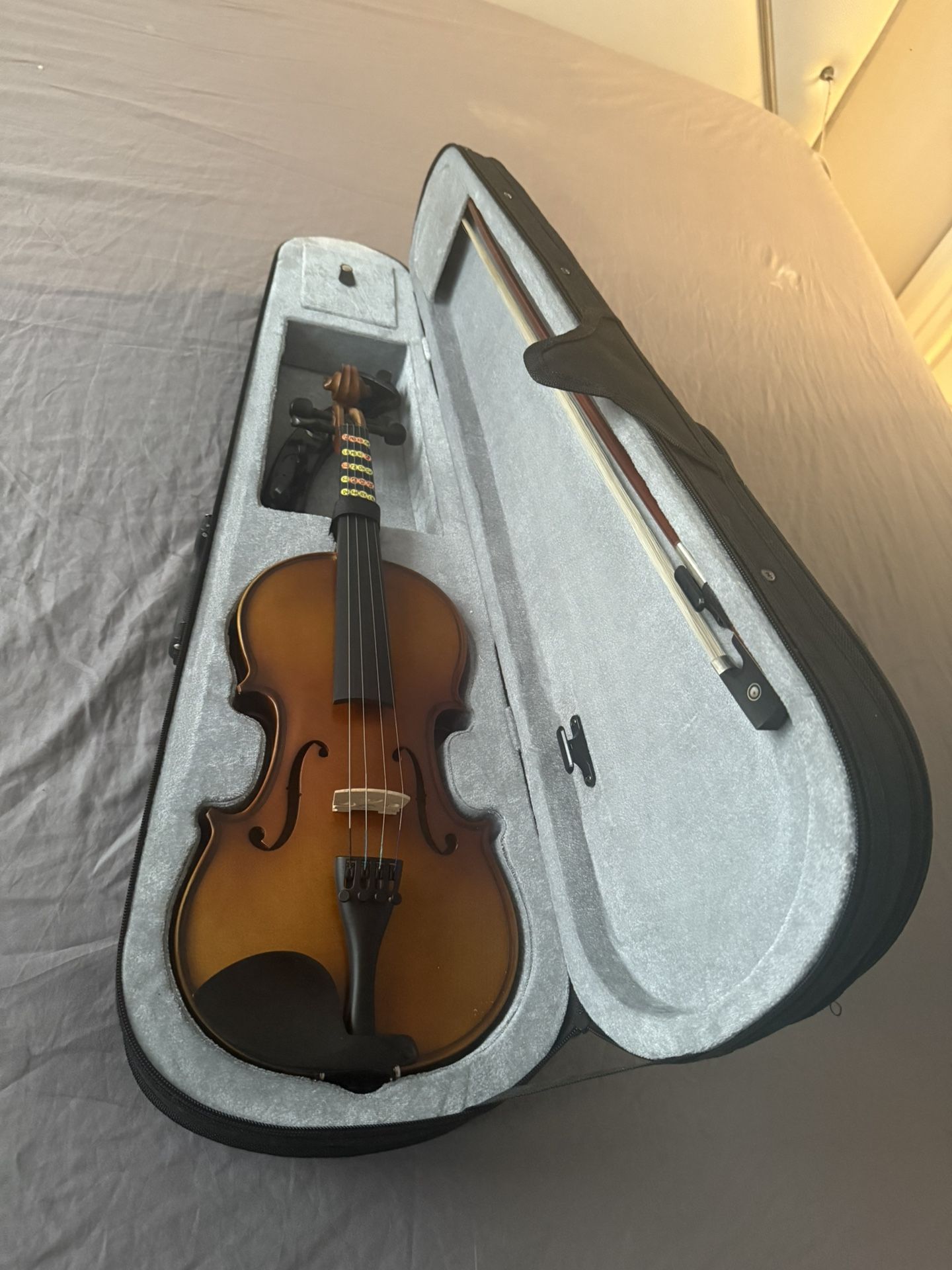 Violin