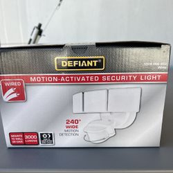 Security Light $45