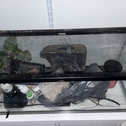 20 gallon tank with hermit crab supplies 