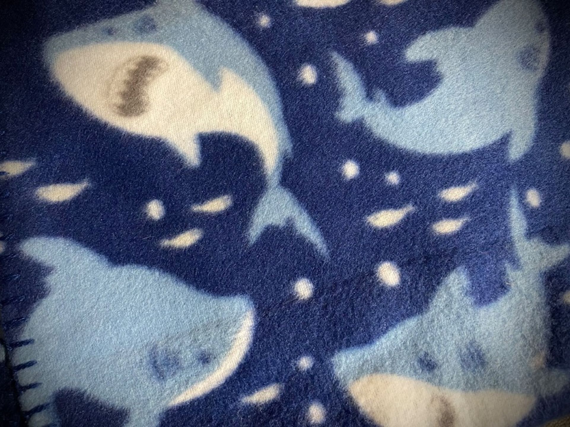 Brand New Comfort Bay For Kids 50” x 60” Fleece Shark Throw Blanket.