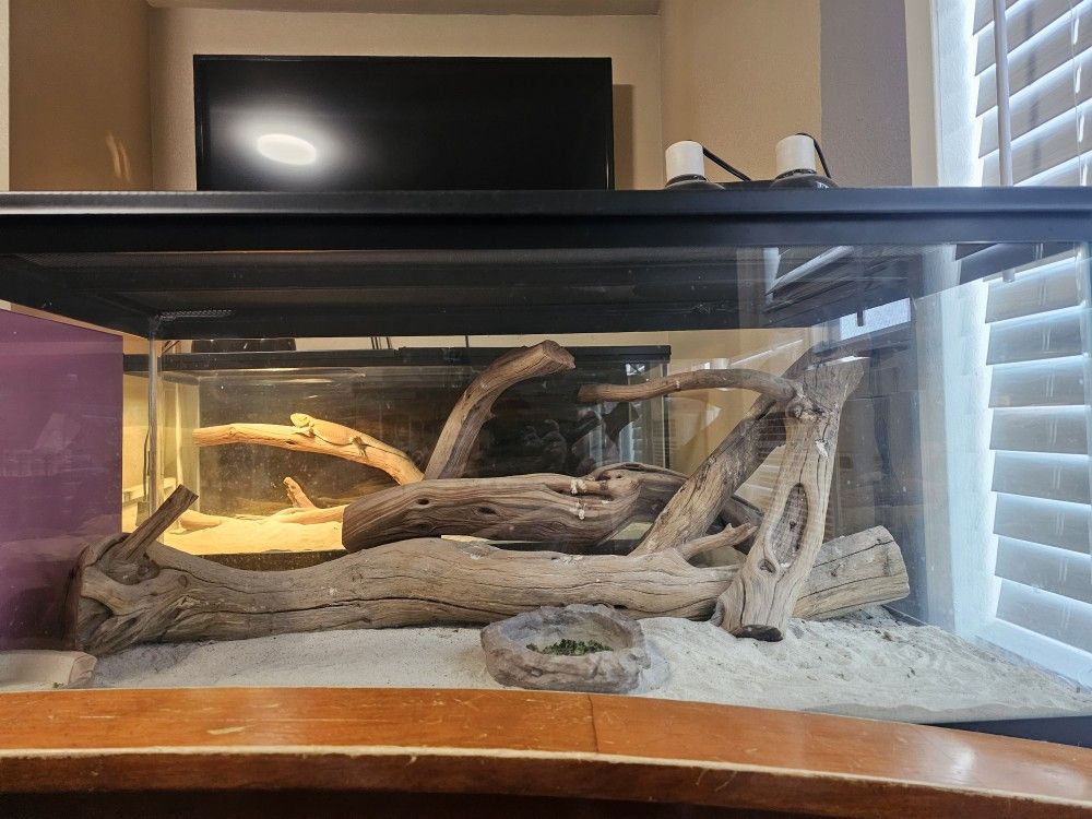 40-gallon