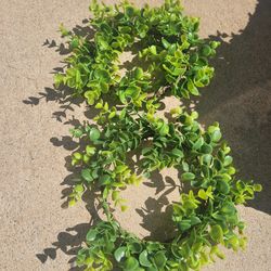 Eucalyptus candle rings