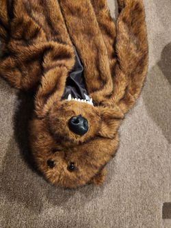 Bear coat