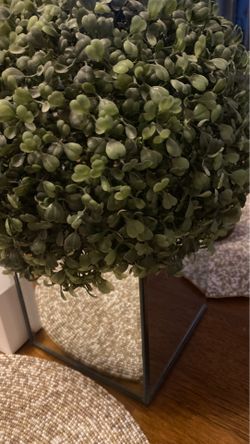 Decor