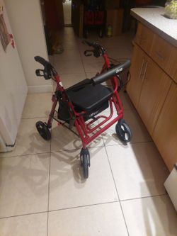 Walker Wheelchair Combo