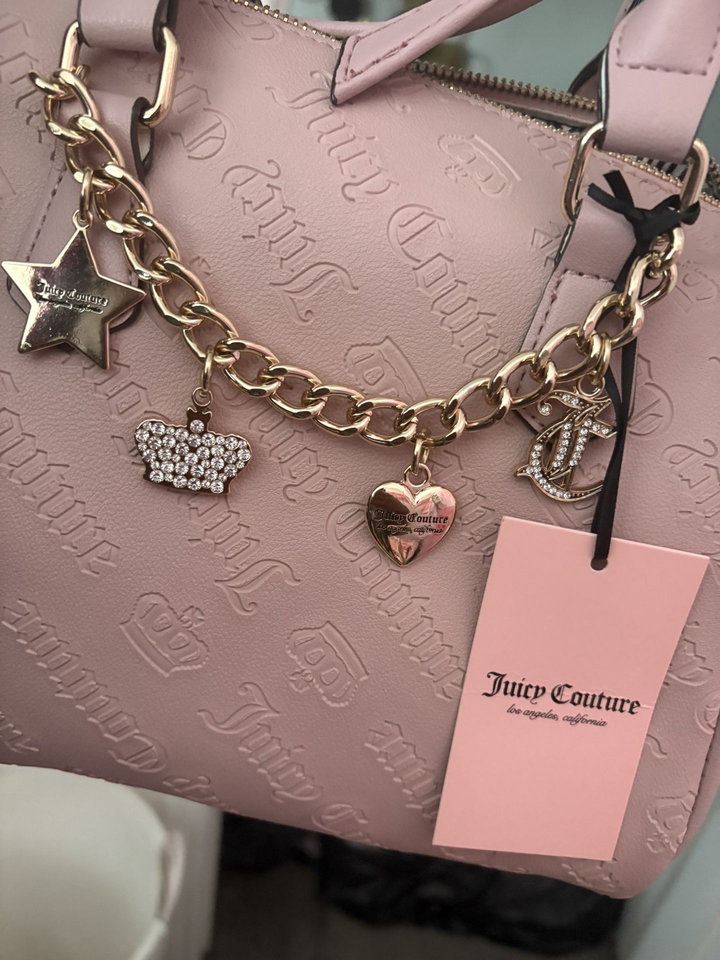 Juicy Couture Purse