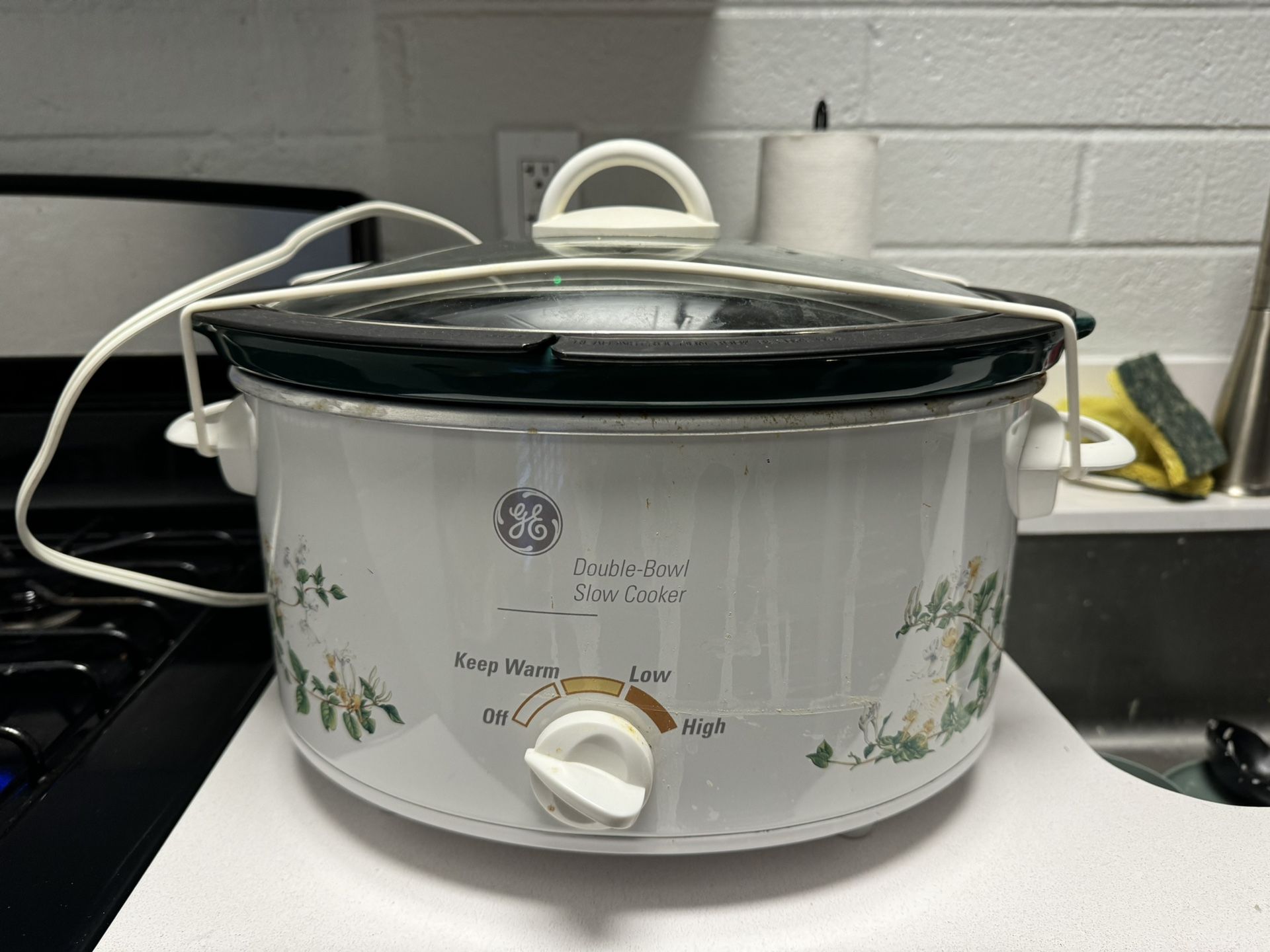 beautiful emerald green slow cooker comes with lid and two containers for dual cooking