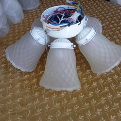 Ceiling Fan Light Fixture 