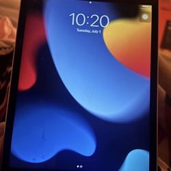 silver back ipad mini 4 