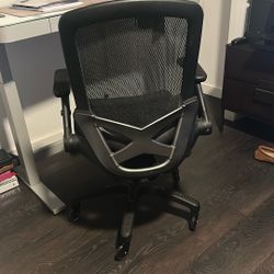Ergonomic Office Chair