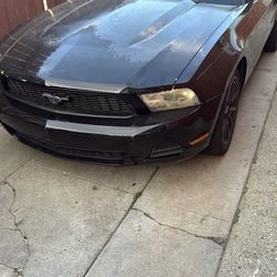2010 ford mustang