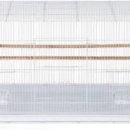 Cage Message Information Tame