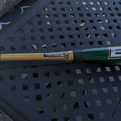 Easton Baseball Bat