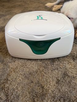 Wipe warmer