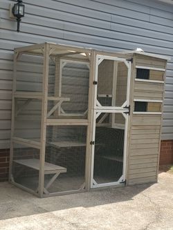 Cat patio
