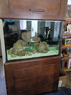 Saltwater aquarium  plug and play