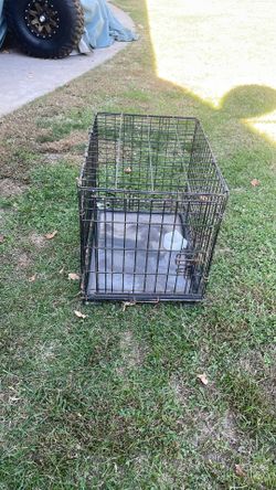 dog Cage