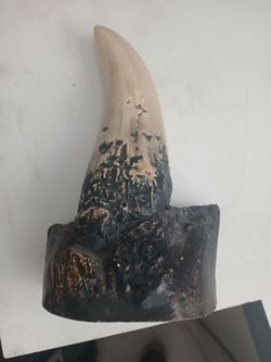 Dinosaur Tooth (replica)
