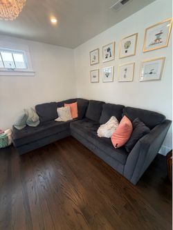 Blue L shaped couch/ sectional