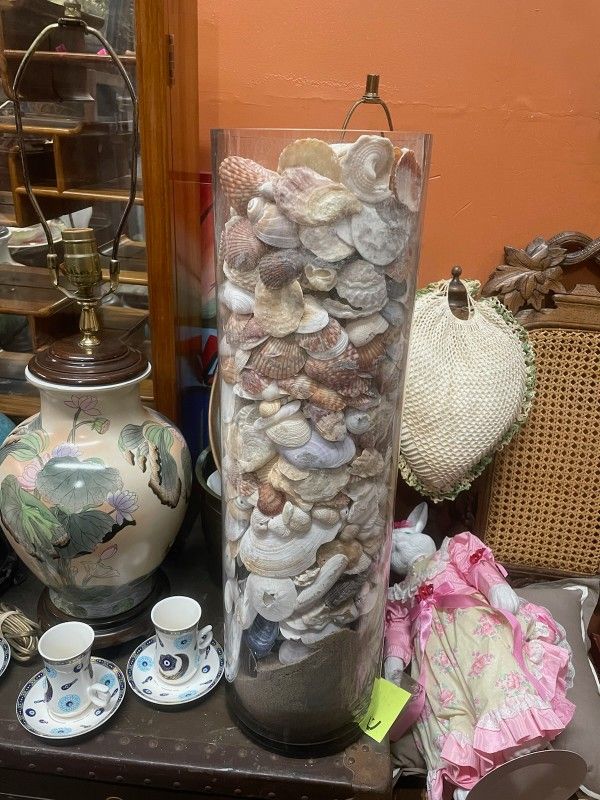 Tall Glass Vase Filled With Seashells Shell Beach Decor 