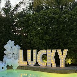 Party Decor