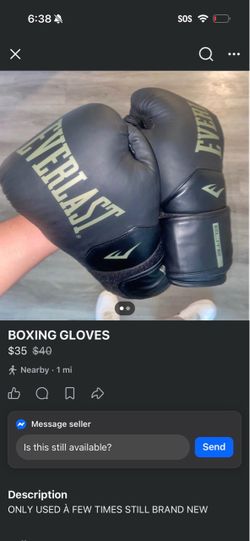 Everlast boxing gloves