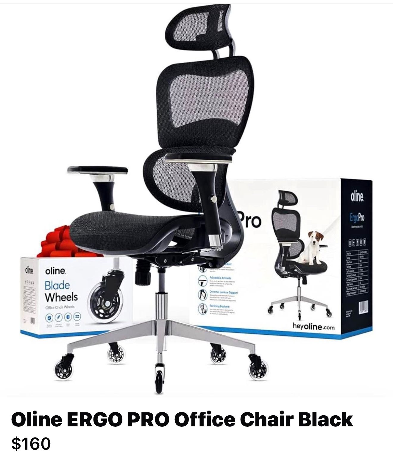 Oline Ergo Pro Desk Chair