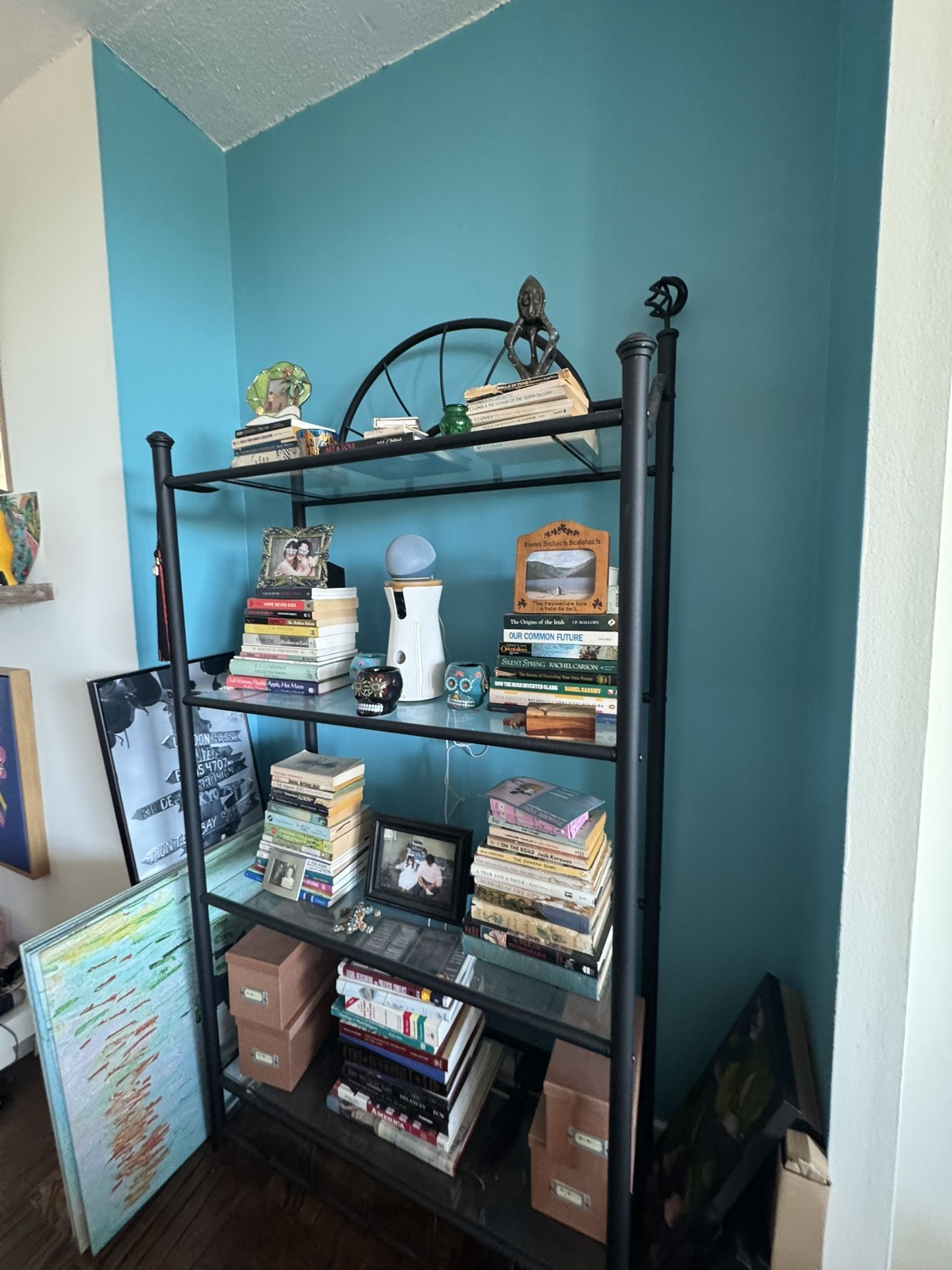 Black Metal and Glass bookshelf