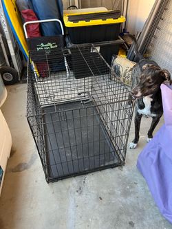 Dog Cage