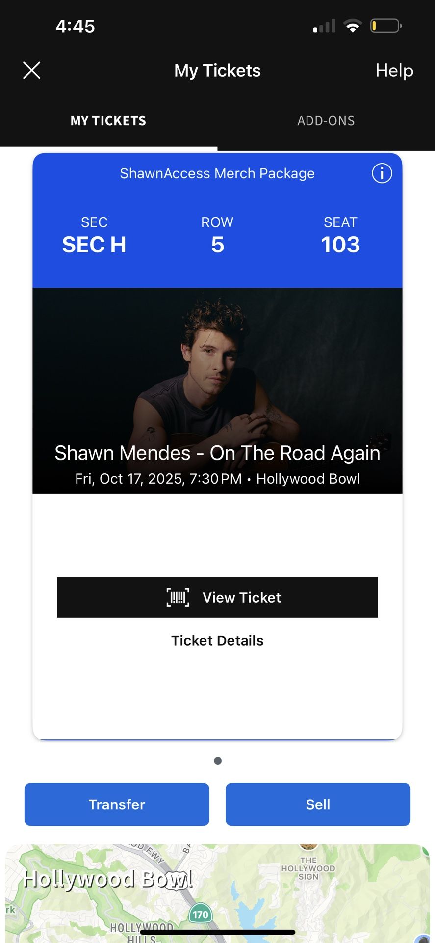 Shawn Mendes Concert 
