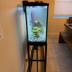 BRAND NEW 55 GALLON FISH TANK