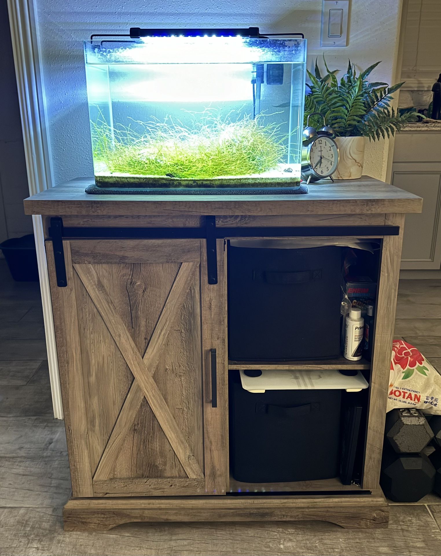 Fish Tank