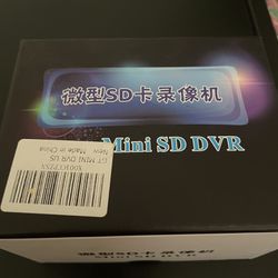 Mini SD DVR