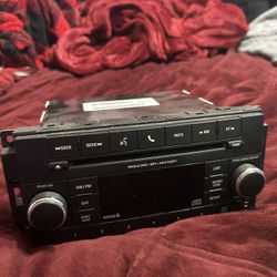 $100 radio