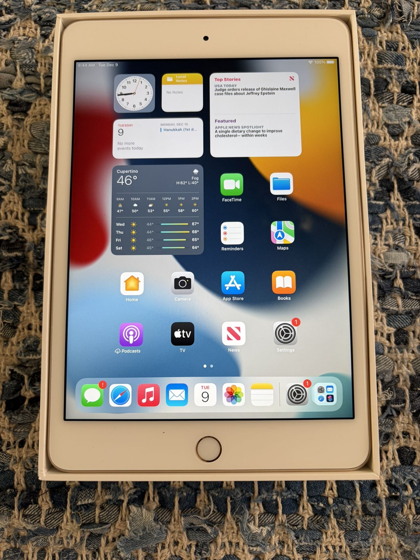ipad Mini 4