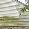 Pressure Washing 