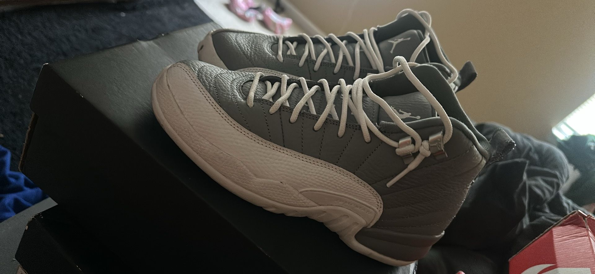 Air Jordan 12 Retro GS