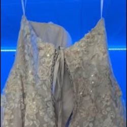 Beautiful David’s Bridal Wedding Dress and matching Veil