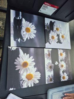 Daisy Pictures (4pcs)