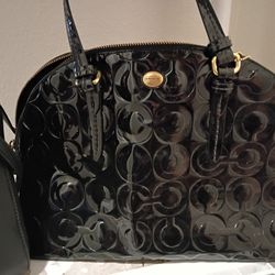 Purses Individually priced 
Brown flower logo #1 w/ Dust bag  $180
Brown flower logo #2 no Dust bag $170
GG logo $150
Coach shinny $50
Aldo $20
MK $50