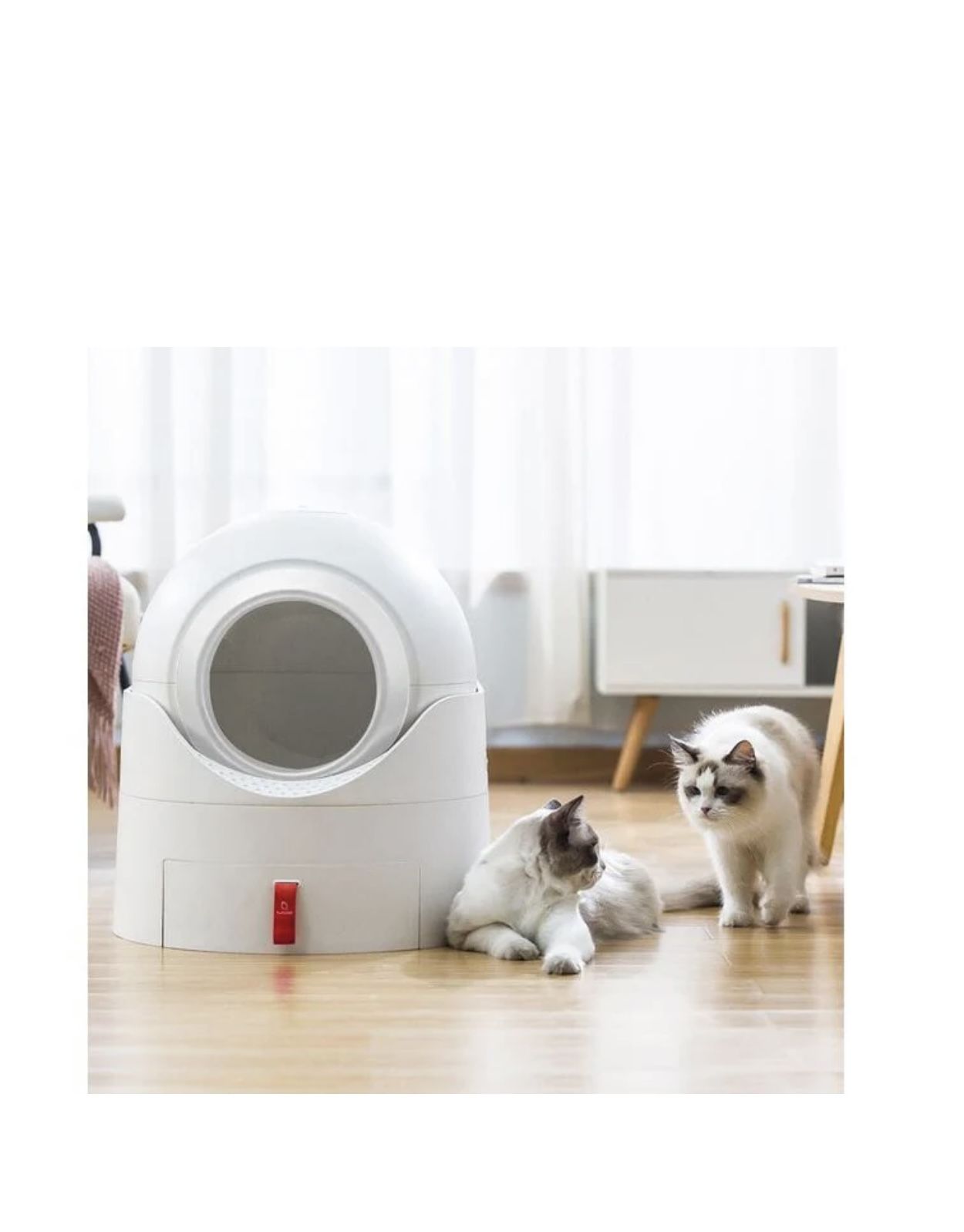 Cat Litter Box