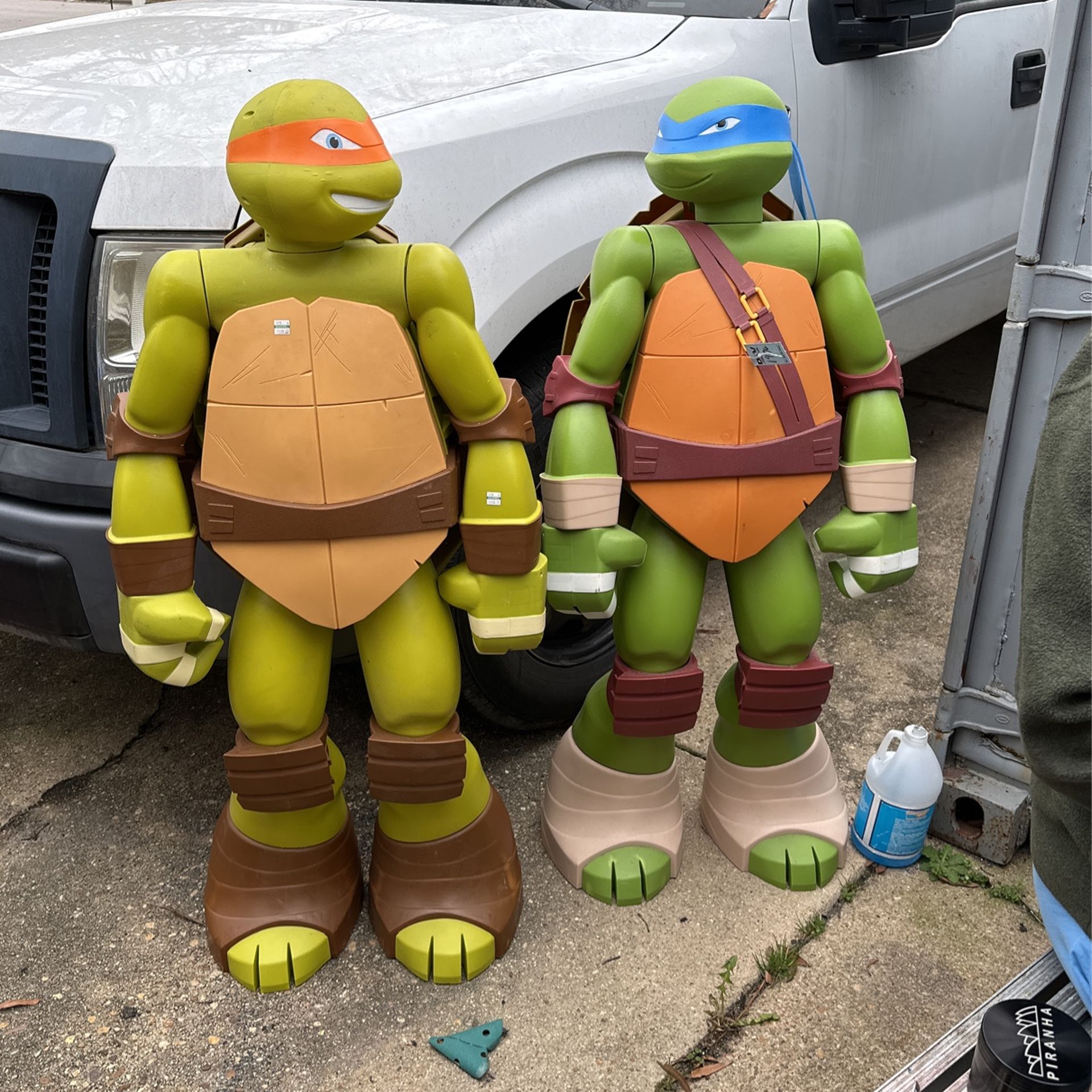 One Mutant Ninja Turtle Collectibles