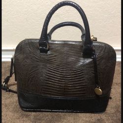 Brahmin 