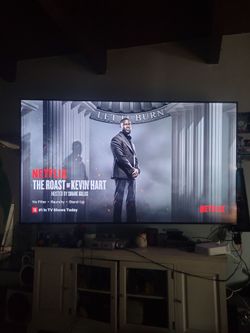 VIZIO 86 " TV with Mount best offer gets it