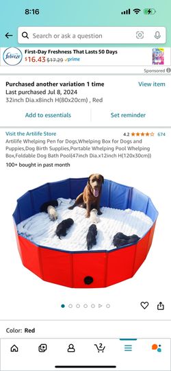 Dog Pool