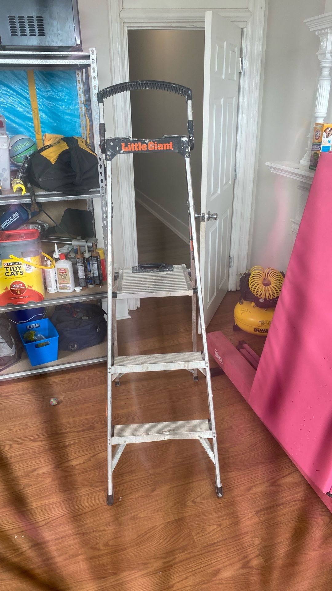 Ladder Little Giant 6 Foot